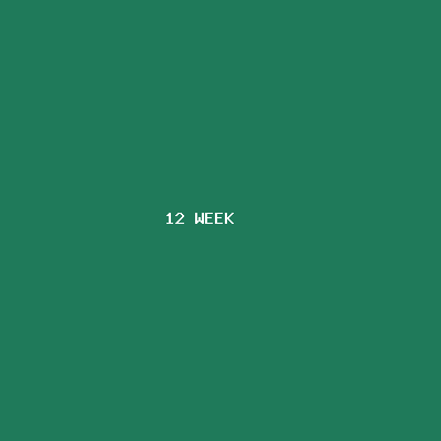 12주 차