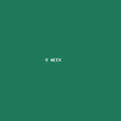 8주 차